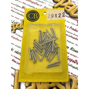 Packung mit 2,9 x 22 mm selbstschneidenden Schrauben für VESPA APE und LAMBRETTA, Schlitzkopf aus Edelstahl, verschiedene Anwendungen