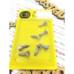 Confezione di viti 6,3 x 19 mm autofilettanti per VESPA APE e LAMBRETTA testa a taglio in acciaio inox applicazioni varie